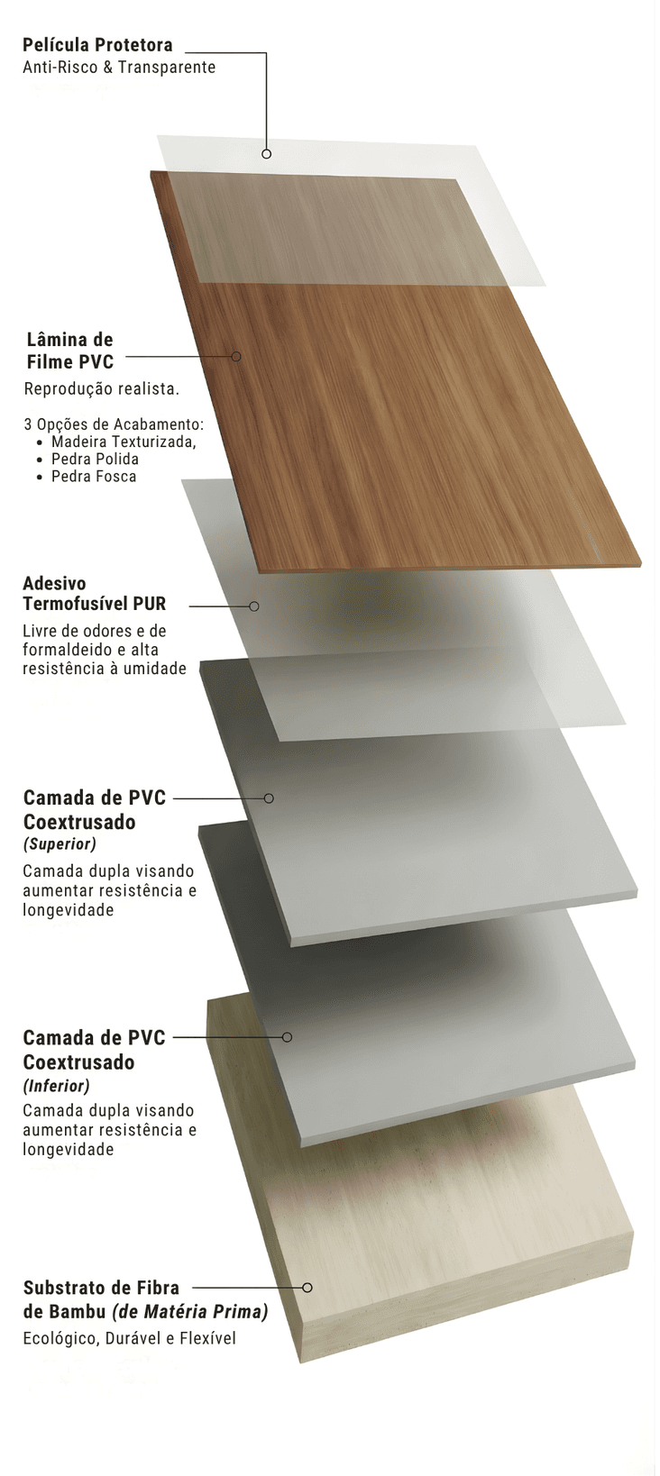 Anatomia da Placa PFB Orbital — seção transversal 5 camadas